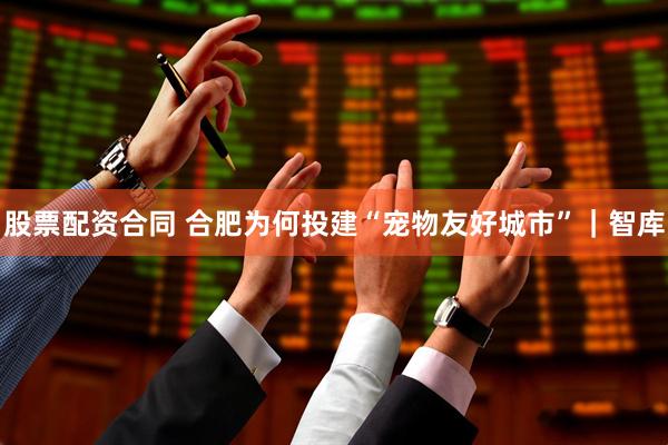 股票配资合同 合肥为何投建“宠物友好城市”｜智库