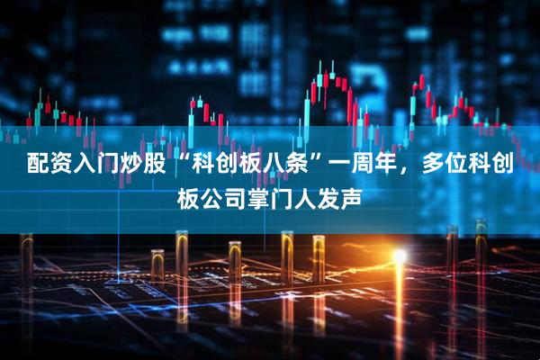 配资入门炒股 “科创板八条”一周年，多位科创板公司掌门人发声
